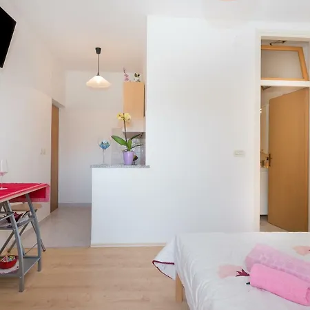 Studio Apartman Pierina Labin (Istria)